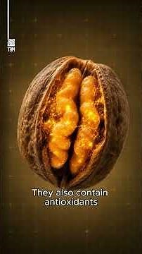 The Brain and the Walnut