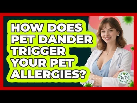 How Does Pet Dander Trigger Your Pet Allergies? - Allergy Relief Guide