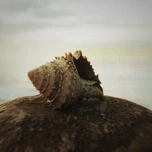 197K views · 5.4K reactions | Did Atlantis Leave Us a Code? | The Why Files | Facebook