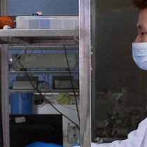 Video: Evaluation of Hemisphere Lateralization with Bilateral Local Field Potential Recording in Secondary Motor Cortex of Mice