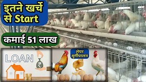 लेयर मुर्गी पालन की जानकारी [1000, 500 Birds, Design] | Layer Poultry Farming Hindi