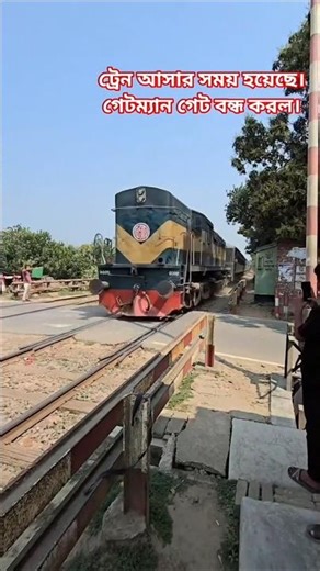 Coming Train | Gateman Alert Railgate Off