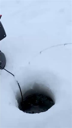 ICE FISHING TIP: Slow lift, long pause, slow fall. This cadence works for walleye, perch, trout, everything. Give winter fish time to commit. #IceFishing #FishingTips #GoOutOfTheBlue #HardwaterSeason #WalleyeNation | Out of the Blue Marine Sales | Facebook