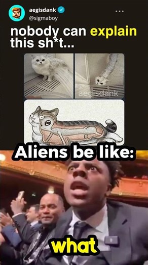 funny reaction memes