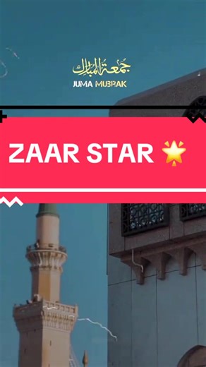 Understanding ZAAR: The Concept of Zaar Explained
