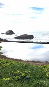 Did you know there's a freshwater spring at Lands End💧☁️🌊? The spring starts just below the Lands End Lookout and stretches down to the largest of the remaining Sutro Baths pools. Because of the fresh water in this pool, birds passing through on the Pacific Flyway often take a dip to remove ocean water from their wings. The spring is likely one reason members of the Yelamu Ohlone tribe chose to camp here. For #NativeAmericanHeritageDay, we’re reflecting on and honoring the original stewards of