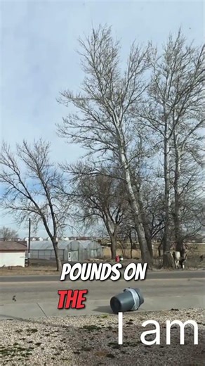 Crazy Wind and Empty Trailers: A Trucker's Take