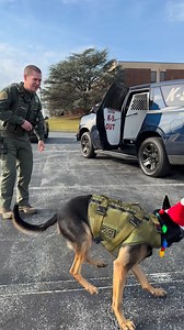 @_acek9_ @frog_dog_k9 @sheepdogmics @spikesk9fund #k9leadstheway Frog Dog K9Police DogWorthless HandlerParavet K9Summa.FitK9 Hurricane's HeroesPaws Of HonorSheepdog MicsSpike's K9 FundK9 Storm IncWild South | Erik Larson