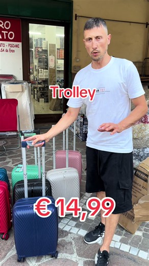 Trolley €14,99 — Best Budget Travel Trolley Picks