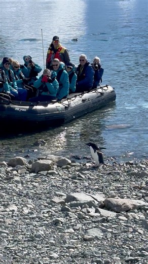 2.3K views · 49 reactions | 퐖퐇퐄퐍 퐘퐎퐔 퐆퐎 퐓퐎 퐀퐍퐓퐀퐑퐂퐓퐈퐂퐀, 퐓퐇퐄 퐏퐄퐍퐆퐔퐈퐍퐒...