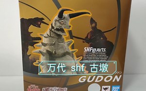 难得一见的良心，配件少，但是主体很不错——万代shf古墩模玩分享