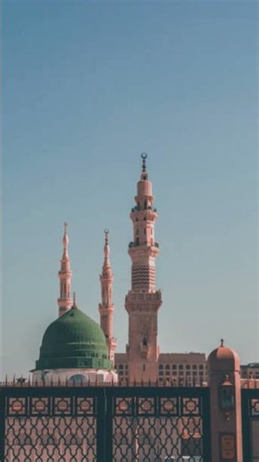 please support 🥺🙏 # #ramadan #halal #love #facts