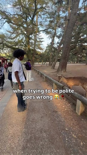 bro decided it was my time 😭 | deer