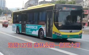 【POV274】改线 涪陵127路 森林公园-新区大厦 六倍加速 前方展望