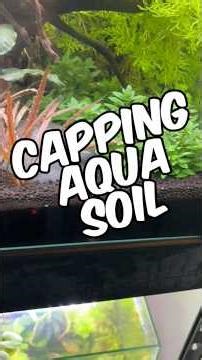 Debunking Some Myths On Capping Aquasoil In Planted Aquariums!