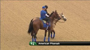 100K views · 3.9K reactions | Did you miss American Pharoah's workout live this morning? Here you go... He will breeze tomorrow at 8:30am ET. You can watch live at www.kentuckyderby.com/workouts/live or come to Churchill Downs and watch in person! | Kentucky Derby | Facebook