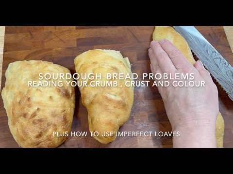 Sourdough Bread Problems Reading Your Sourdough Crumb, Crust and Colour
