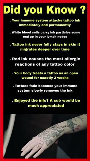 What Actually Happens When You Get A Tattoo