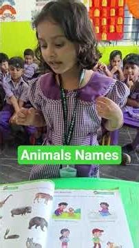 Different types of Animals