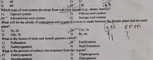 1) 463) 69Which type of root system develops from non-root t... | Filo