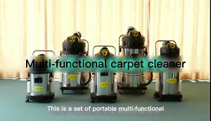60L/16Gal Carpet Cleaner Machine, Carpet Extractor 3 in 1 Stainless Steel Household/Commercial Rug Cleaner Machine 2110W Portable Deep Cleaning Machine for Carpets, Sofas, Curtains (60L(15.8Gal))