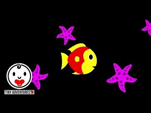 Baby Sensory - Little Fish in the Sea - Infant Visual Stimulation
