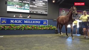"Our two number one picks from that particular draft we were able to pick up." James Harron is rapt after picking up a pair of Zoustar yearlings from Segenhoe (Stud) Group at Magic Millions 🤩 #MMGC2024 | Racing.com