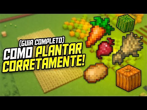 Guia para Plantações no Minecraft - Como plantar de maneira Eficiente!