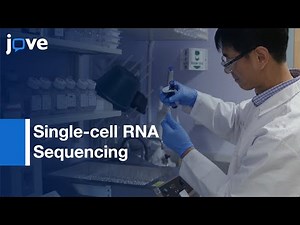 Single-cell RNA Sequencing and Analysis | Protocol Preview