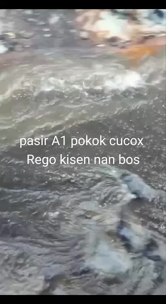 Manual Labor in Nature: Moving Rocks at Riverbank