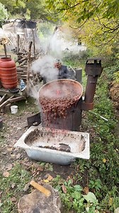 Pečemo rakiju, šljivovica 🥃 Distilling rakija brandy, Slivovitz, Serbian national drink🇷🇸, village Dulene , 12.10.2025. Slivovitz is a fruit spirit (or fruit brandy) made from damson plums . UNESCO put it in a UNESCO Intangible Cultural Heritage Lists in 2022 on request of the country of geographic origin Serbia. | Dulene KG / Gledićke planine