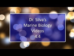 An Introduction to Marine Plants - Lecture 4.4 - Marine Biology - Biol 321