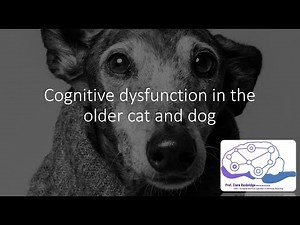 Cognitive Dysfunction in the Senior Dog & Cat: PART ONE — Pathophysiology and Diagnosis