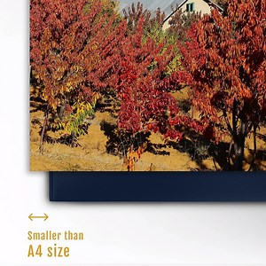 6.2K reactions | #ZenBook 13 has the most compact design with its less-than-A4-size body and ultralight chassis. #CreateTheUncreated | ASUS | Facebook