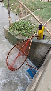 82K views · 183 reactions | Really Unique Fishing technique its Unbelievable | Fishing & Village Tradition | Facebook