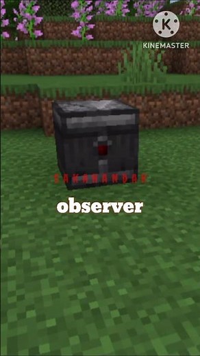 how to use observers well in Minecraft🥰 #sakahandak#minecraft#fyp