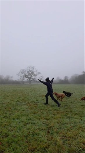 BIG DOG CHRISTMAS PARTY, COMPLETE! Everyone has had a lovely (soggy, muddy) time. Big thanks to Jes & Gracie, too! | Stud Farm Country Club for Dogs