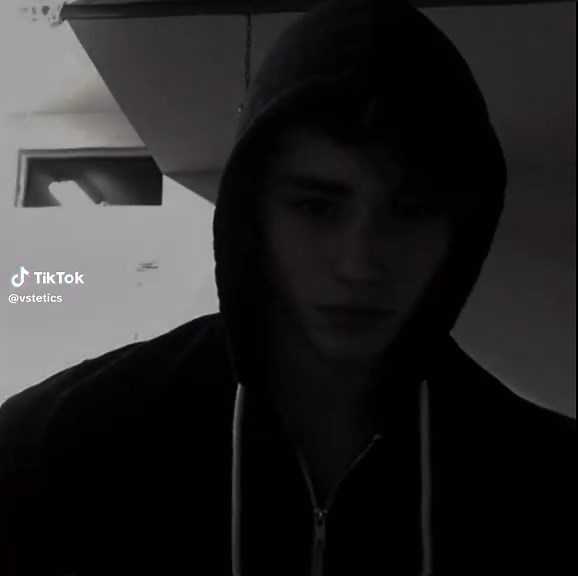 David Laid: Age, Edits, and Fitness Journey Explained