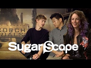 The Scorch Trials cast take the Sugarscape Zombie Invasion Survival Test