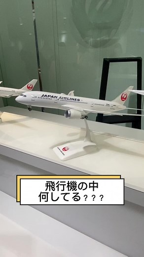 お気に入りの過ごし方はありますか？✈🥰 #飛行機 #機内 #何してる? #日本航空 #JAL #japanairlines #airline