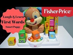 New! Fisher Price Laugh N Learn First Words Puppy