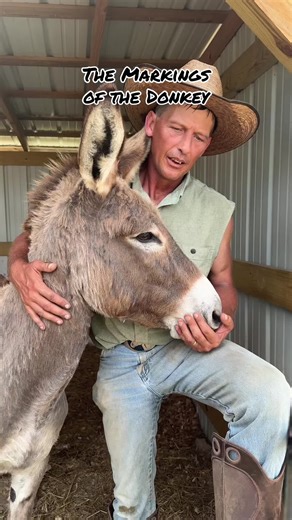 When @Littlejohn trail rides shared this with me the first time, I knew we had to share it with all of you🐴✝️ I hope everyone had a great Christmas filled with fun, rest, or a combination of both🥰 #cashscrewrescue #donkeys #christmasstory #christmas #cashthedonkey