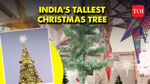 2K views · 35 reactions | Bengaluru dazzles with India’s tallest Christmas tree to celebrate Christmas, New Year As the holiday season is around the corner with coming Christmas and New Year celebrations, various cities across the nation have been decked up to welcome the Christmas and New Year. | The Times of India | Facebook