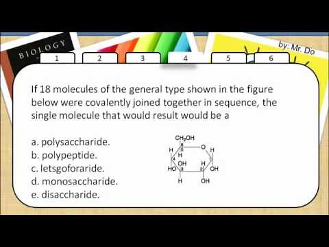 Macromolecules quiz 1