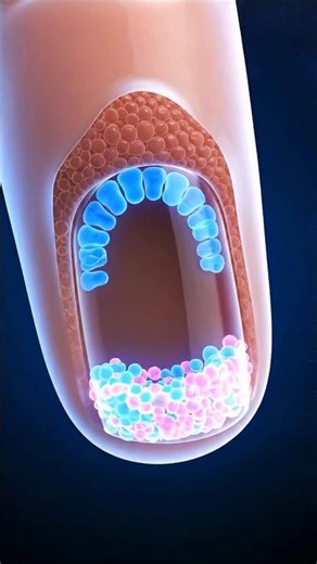 Why Your Nails Keep Growing Forever 🤯