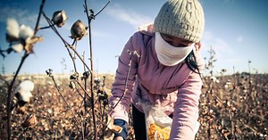 Uzbekistan: Forced Labor Linked to World Bank