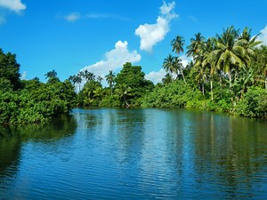 Bridging Biodiversity and Climate Change: Three ways the National Adaptation Plan (NAP) process can help - NAP Global Network