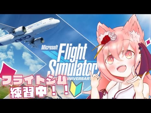 【MSFS2020】🔰フライトシム練習中🔰 フライトプランを作ってオートパイロットで飛んでみる！！ 『安全』な空の旅をお楽しみください！！ ＃ 4【紅星ラフィ】