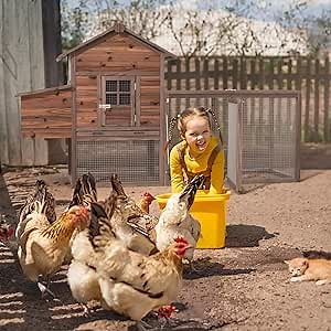 Wooden Chicken Coop Large Walk-in Outdoor Hen House with Nesting Box and Run, Poultry Cage Rabbit Hutch for 4 Chickens 80in Removable Tray#1227 (M-80.75IN)