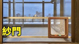 17週年慶！與隱形鐵窗一起安裝貓門可享9折優惠折扣！安裝後分享貓咪使用貓門照片或影片，可獲得100～500元禮券(視照片影片品質而定) 貓門安裝說明與貓門安裝問與答(可免息6期刷卡呦) http://windows.taipei/wordpress/archives/2737 有不清楚的地方歡迎打0908-918-918與我們聯絡，LINE ID @window98（前面有@），用LINE回覆最迅速 | 高高順隱形鐵窗防墜網 防水閘門 防霾紗網